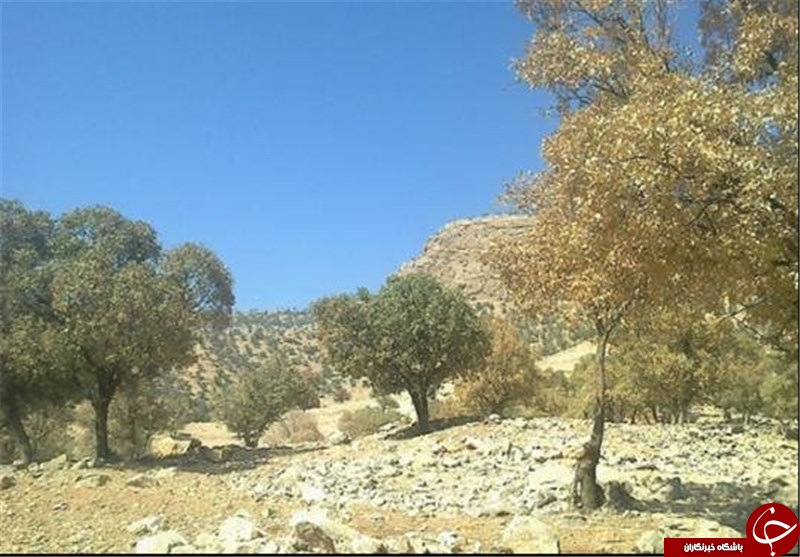 آلوده&zwnj;ترین روزها در سال ۹۵