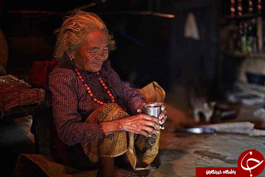 تصاویر شگفت&zwnj;انگیز از &laquo;برداشت عسل زنبور وحشی&raquo;