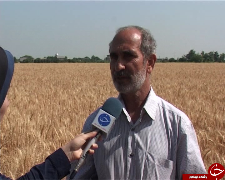 حال و روز نان بر سفره های افطار