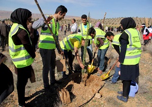 درختكاري ۵۰ هكتاري در منطقه پرديسان قم