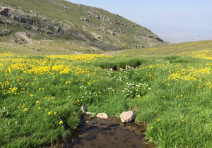 طبیعت زیبا و دل&zwnj;انگیز روستای کرگشه + تصاویر