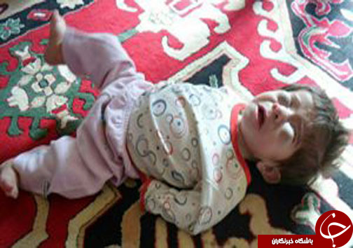 جذاب ترین اخبار استان ها در یک نگاه////