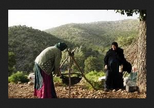 آغاز کوچ عشایر به مناطق ییلاقی آذربایجانغربی