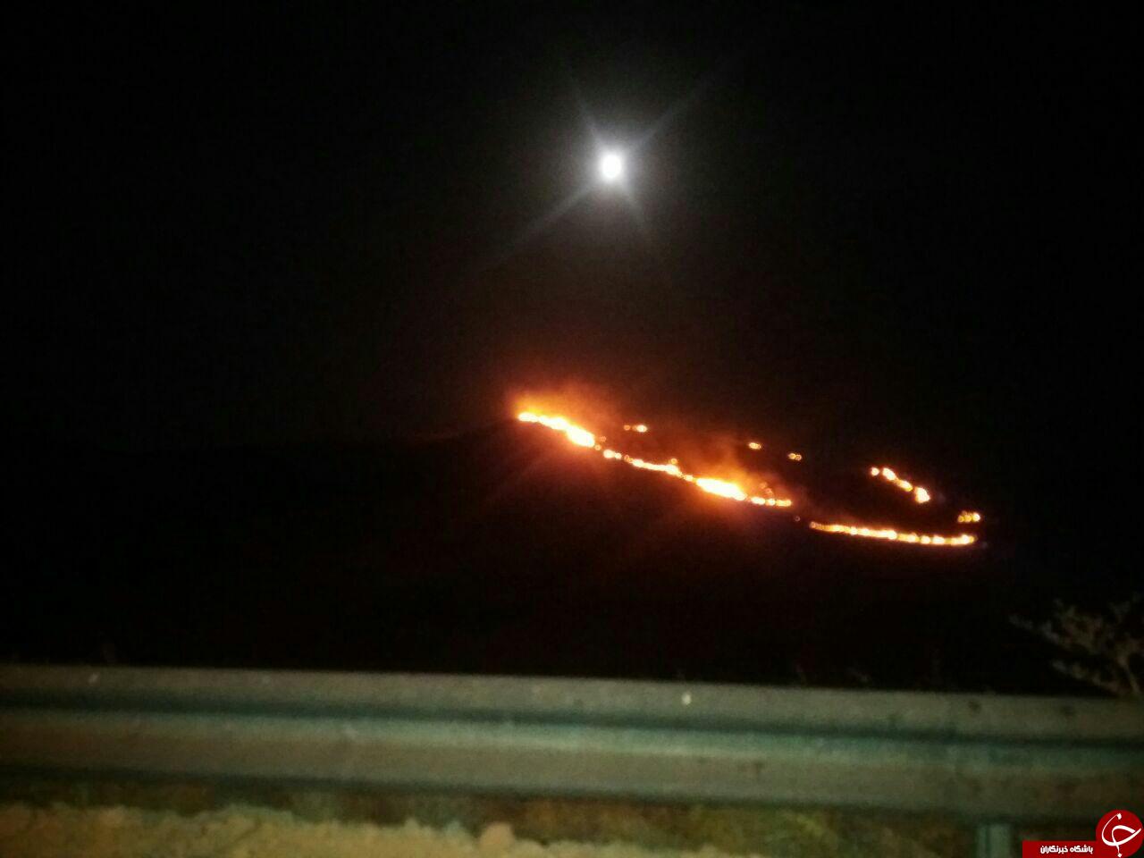 پارک بمو دوباره در آتش سوخت+تصویر