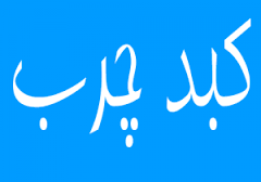 کبد چرب بیماری بی صدای بیش از 20میلیون ایرانی