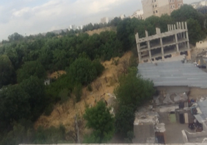 باغات چهارراه استقلال قربانی سودجو ها شد! + فیلم