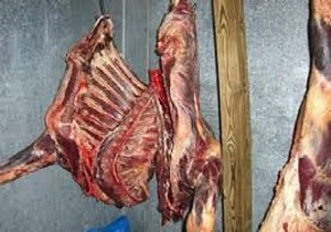 کشف سردخانه غیر مجاز با بیش از یک و نیم تن گوشت منجمد