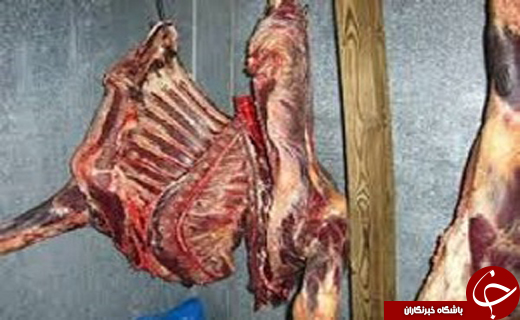 از ناپدیدشدن شدن شناور تا اخراج کارگران