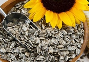 فواید تخمه آفتابگردان در تقویت رشد مو