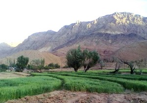 روستایی مفرح در20کیلومتری کرمان