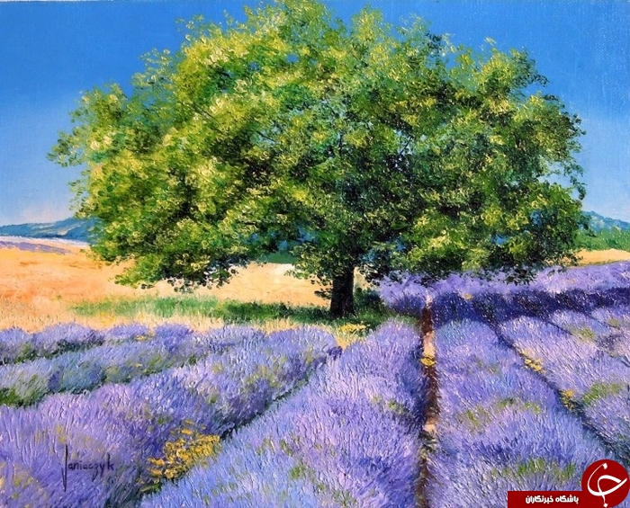 سفری به رویاهای دست نیافتنی +تصاویر