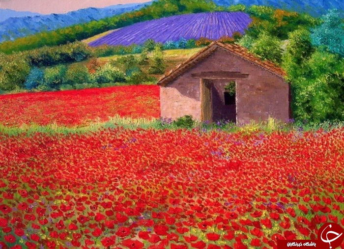 سفری به رویاهای دست نیافتنی +تصاویر