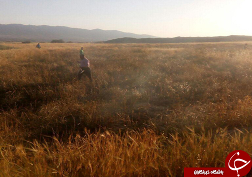 شهروندخبرنگار؛آتش سوزی مشکوک در زمین&zwnj;های کشاورزی + تصاویر