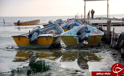 فاجعه در خلیج گرگان !
