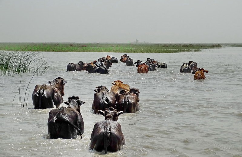 سیستان همچنان در 