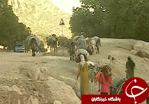 گزارش تصویری از انبه زاهدان تا کوچ عشایر+فیلم