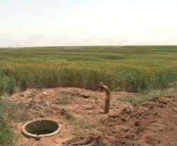 برق دارشدن 6 هزار حلقه چاه کشاورزی در زنجان