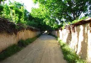 خیانت به باغات تهران در چند دهه گذشته