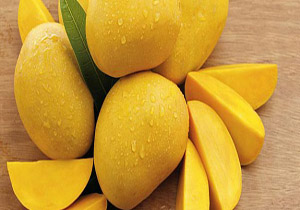 انبه میوه ای پرخاصیت برای پیشگیری از سرطان