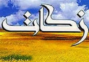 جمع آوری 9 میلیارد ریال زکات در سروآباد
