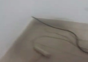 برق‌دزدی مجاز در ویلاهای غیرمجاز + فیلم
