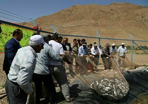 جشن صید ماهی در بافق