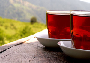 ایرانیان، چای خورهای حرفه ای
