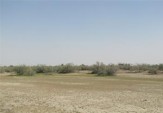 تالاب جازموریان مهم&zwnj;ترین کانون گرد وغبار جنوب شرق ایران است