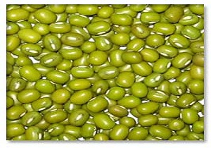 ماش یک دانه ی غنی و مفید
