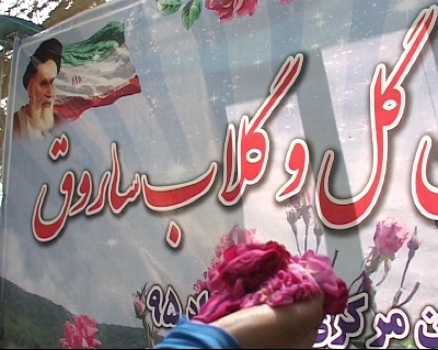 برگزاری جشنواره گل و گلاب در ساروق