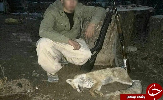 کشف قطعه&zwnj;های بدن گرگ و روباه، در خانه 