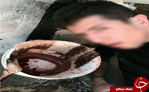 کشف قطعه&zwnj;های بدن گرگ و روباه، در خانه 