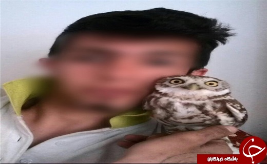 کشف قطعه&zwnj;های بدن گرگ و روباه، در خانه 