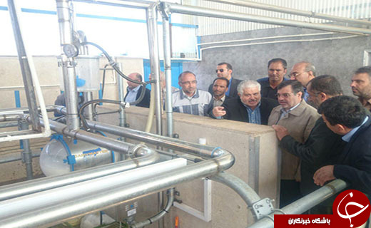 بازديد استاندار از دو طرح عمرانی و کشاورزی تاكستان