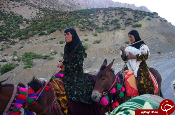 عکس هایی که بوی زندگی می دهد