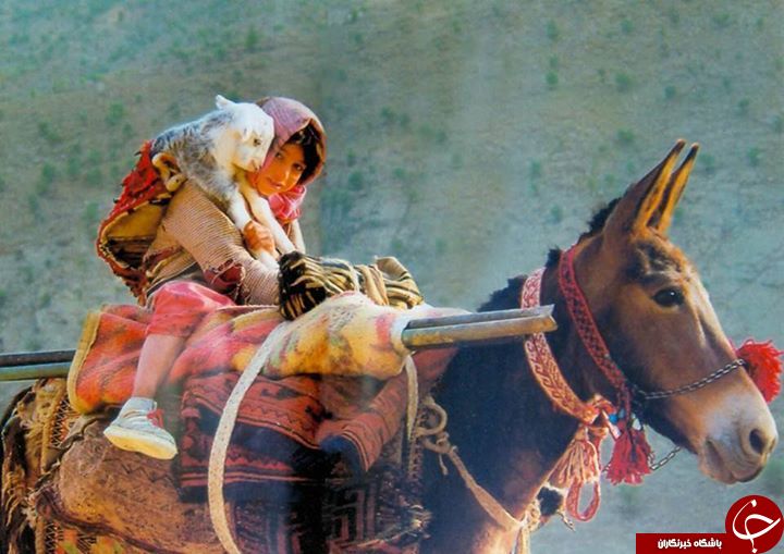 عکس هایی که بوی زندگی می دهد