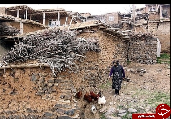 عکس هایی که بوی زندگی می دهد