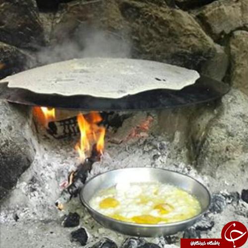 عکس هایی که بوی زندگی می دهد