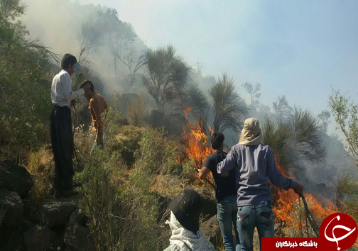 مهار آتش سوزی در منطقه جنگلی بارشلو + تصاویر