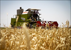 قزوین پایلوت طرح خرید قیمت تضمینی جو