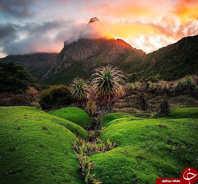 سفربه دوردنیا ازنگاه نشنال جئوگرافی +14عکس