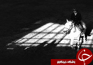 برگزاری مسابقات سوارکاری در مشهد
