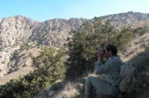 آغاز سرشماری بهاره وحوش در گلستان
