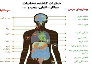 افزایش خطر ابتلا به بیماری های هپاتیت و سل با مصرف قلیان