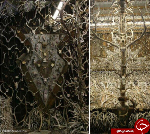 با &laquo;مَرد شاخ&zwnj;گوزنی&raquo; آشنا شوید +تصاویر