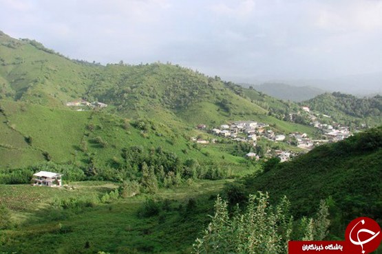 عکس هایی که بوی زندگی می دهد عکس هایی که بوی زندگی می دهد