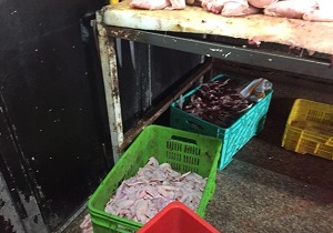 کشف بیش از 100 کیلوگرم گردن مرغ فاسد