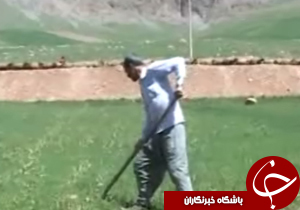 گزارش تصویری تغییر الگوی کشت تا ساخت کتابخانه مرکزی