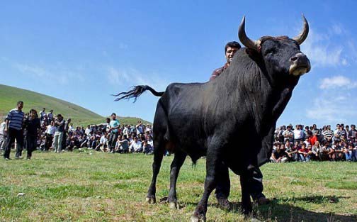 ثبت 5 آئین بومی و سنتی مازندران در فهرست آثار ملی+ تصاویر