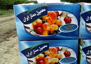 شهروندخبرنگار: گوجه‌سبزهایی به‌نام پارس‌آباد و به کام شهریار! + فیلم